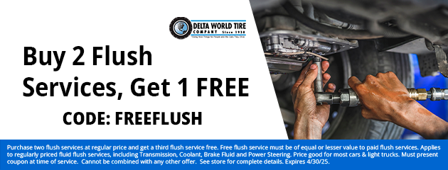 Buy 2 Flush Services, Get 1 FREE